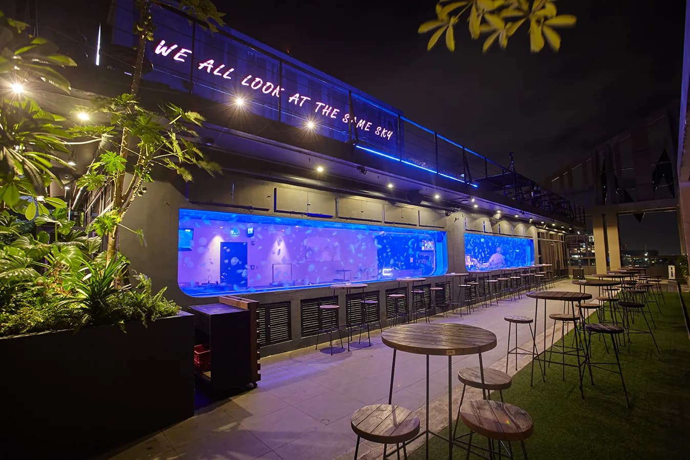 Rooftop seating and the long blue-lit jellyfish aquarium after dark.