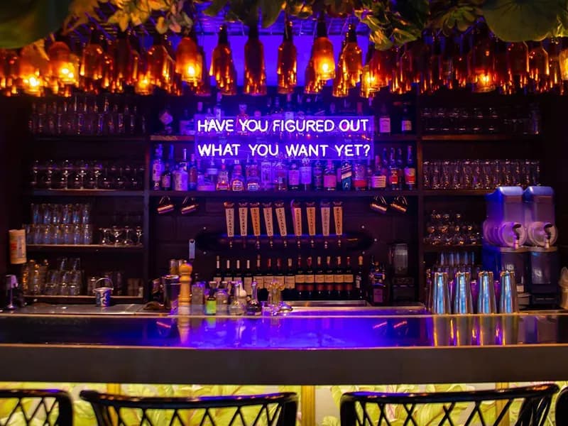 Polilya's back bar glowing purple and amber under hanging bottles and greenery.