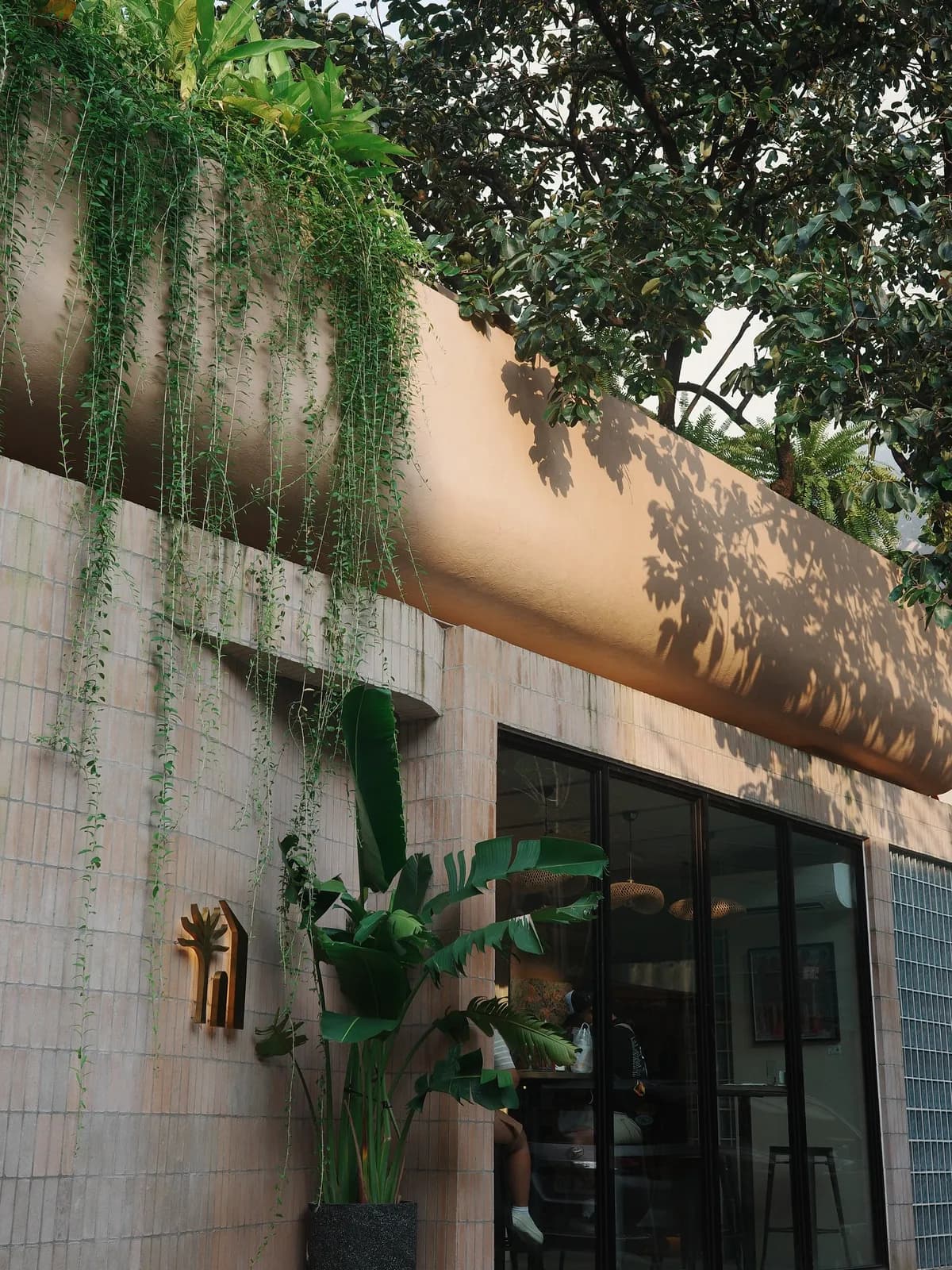 Trailing plants over the café's front wall and entrance by day.