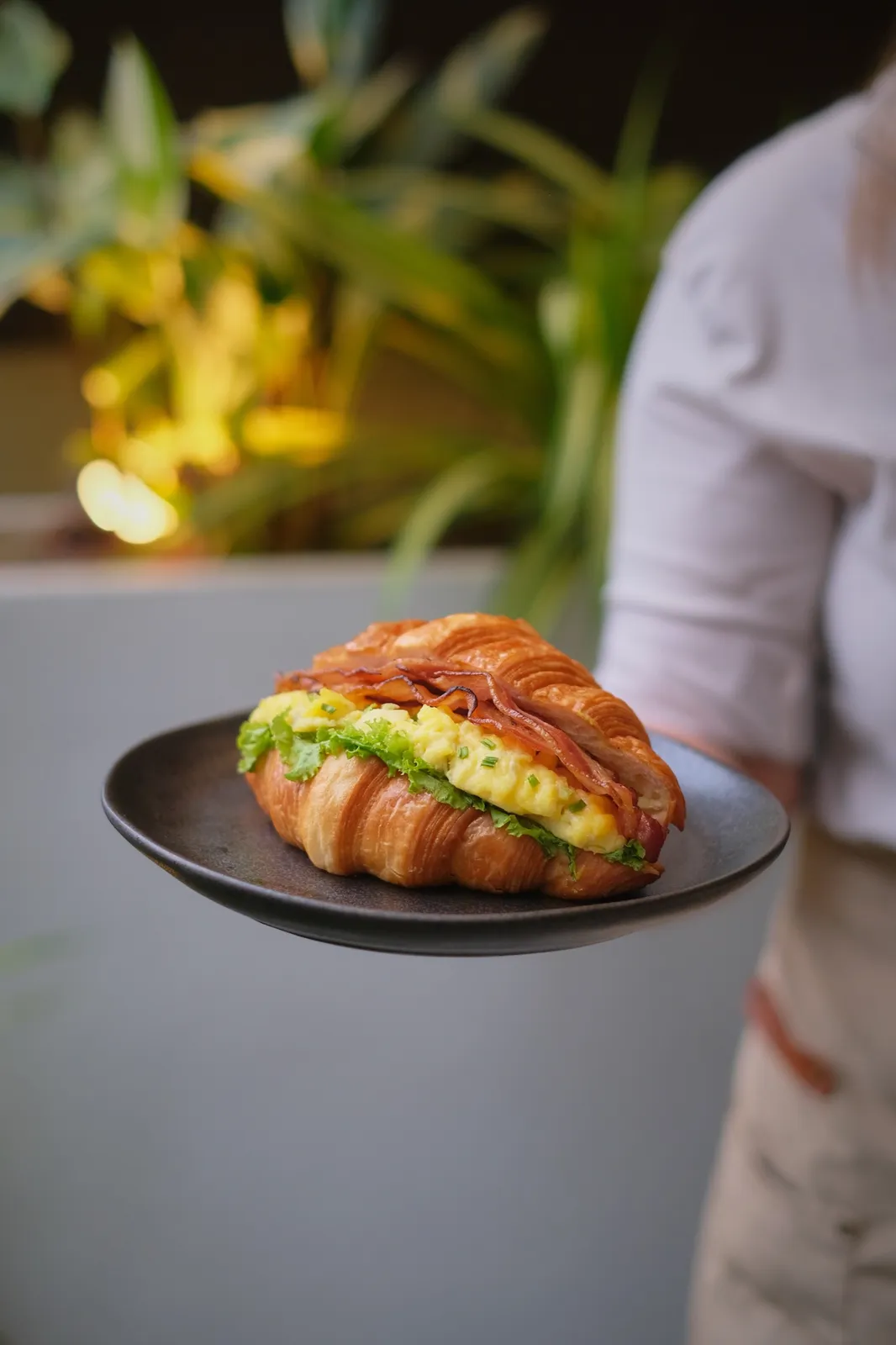 Croissant sandwich with eggs, greens and bacon on a plate