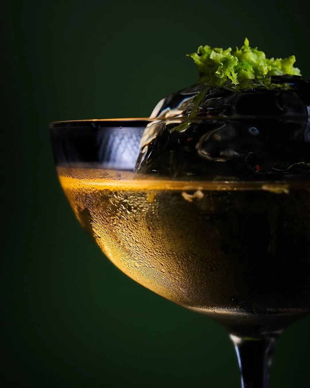 Dark cocktail with a clear ice block and herb garnish